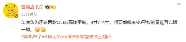 传华为年底将发布2款高端平板 最大14英寸 搭载新麒麟