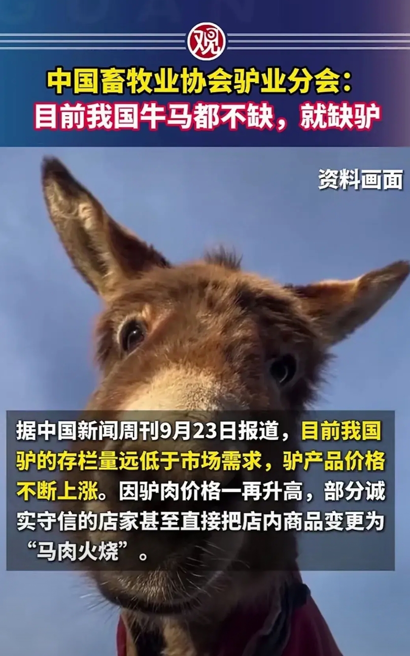 日前，中国畜牧业协会发布了一条动态说：目前我国牛马都不缺，就缺驴。
本来这是一条