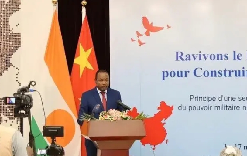 像尼日尔这样狂妄的非洲小国，一定不能纵容。满脑子都是赤裸裸的强盗逻辑，我们帮他这