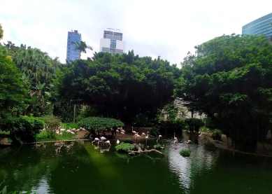 南宁今年的夏天，给我的感觉最深刻。

我已经两个晚上不敢开空调了，有些冷，

还