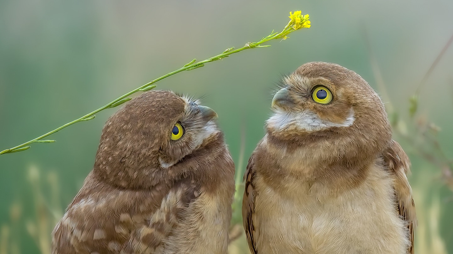 如何从底层思维上搭建起自己的“幽默雷达”，让幽默变成可训练、可复制的能力
