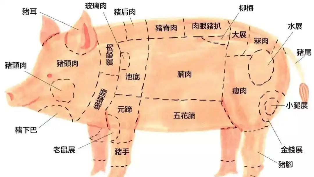 东北人爱吃猪：没有“一头猪”能活着离开东北，浑身上下是“宝”
