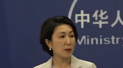 AI有保质期？2024年是最后期限











啥？AI也要过期了？就