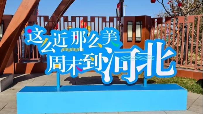 全世界过周末都要到河北？河北靠“题海战术”赢了！