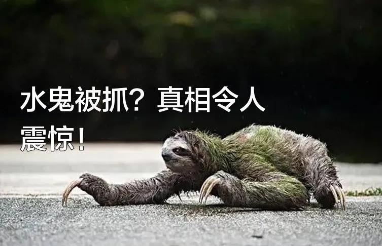 嘿，你们听说了吗？
传说中的水鬼”竟然被人抓住了！一开始，大家还以为是真的水鬼，