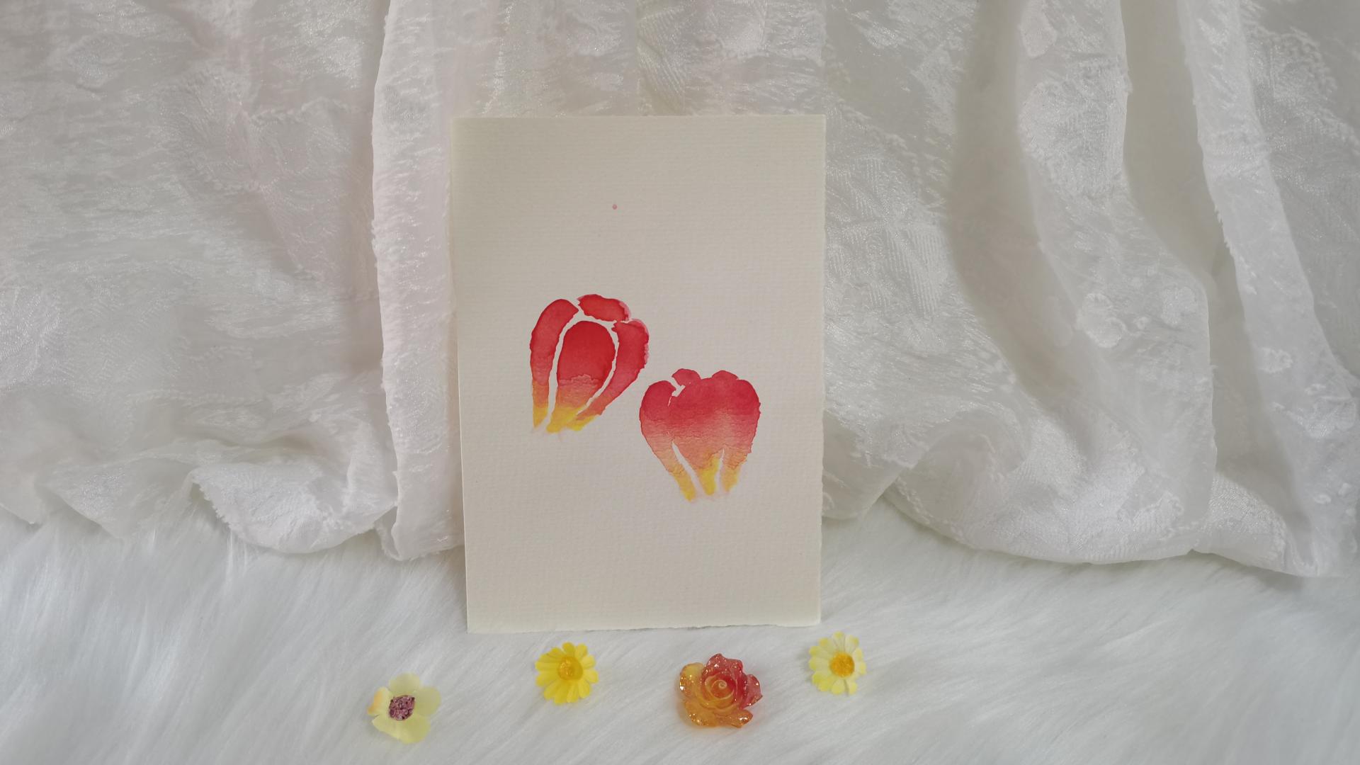 47 酸浆（绘画 | 水彩 | 果花甘05）