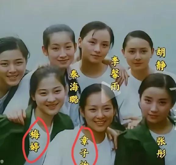 章子怡和梅婷从大学上下铺到合作
竟然用了29年！
这次的合作梅婷说当她看到章子怡