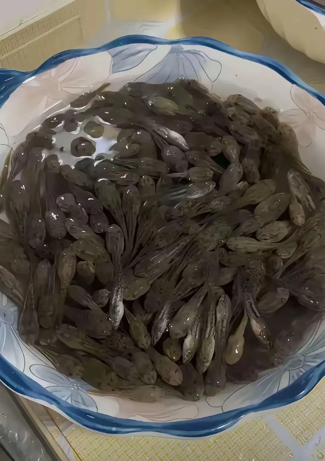 女朋友的母亲从农村带来的，这个怎么处理，能吃吗？