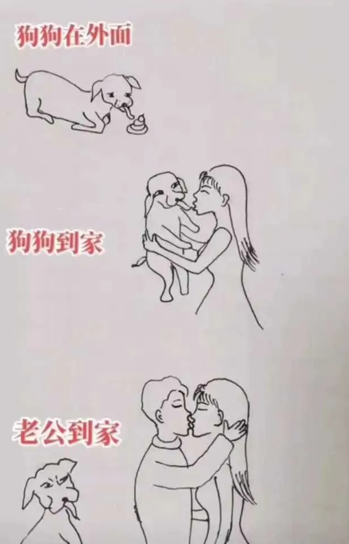 请养狗的人一定注意了！