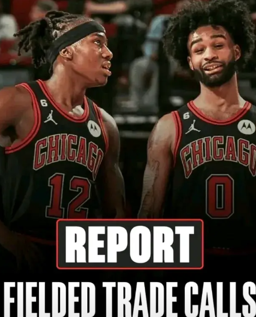 比尔如果爽约，科比怀特可以成为快船的B计划！
公牛一直在推进科比怀特和多森姆的交