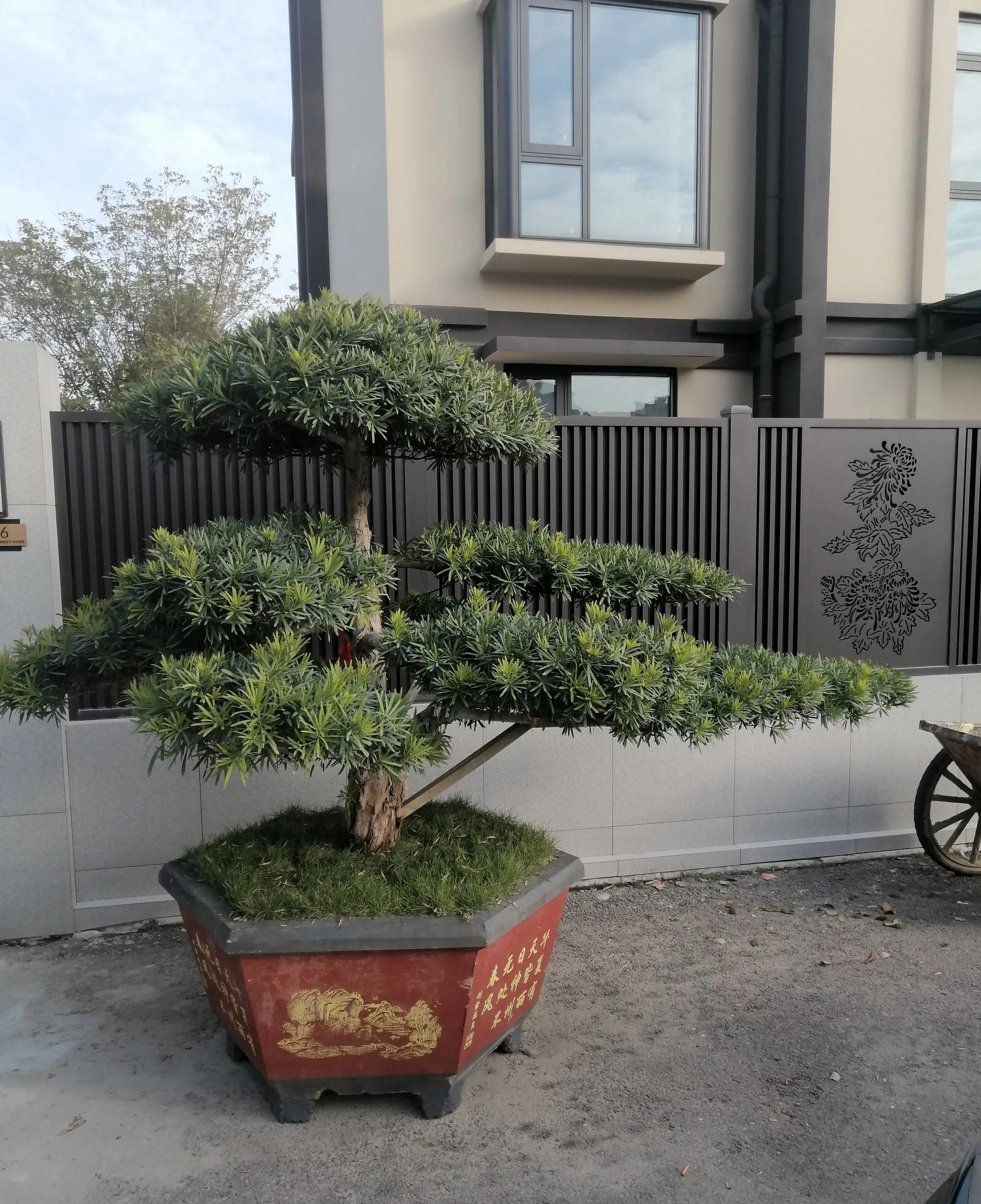 安徽文一男篮退出NBL比赛，俱乐部正式解散。



这则消息如同晴天霹雳，在安徽