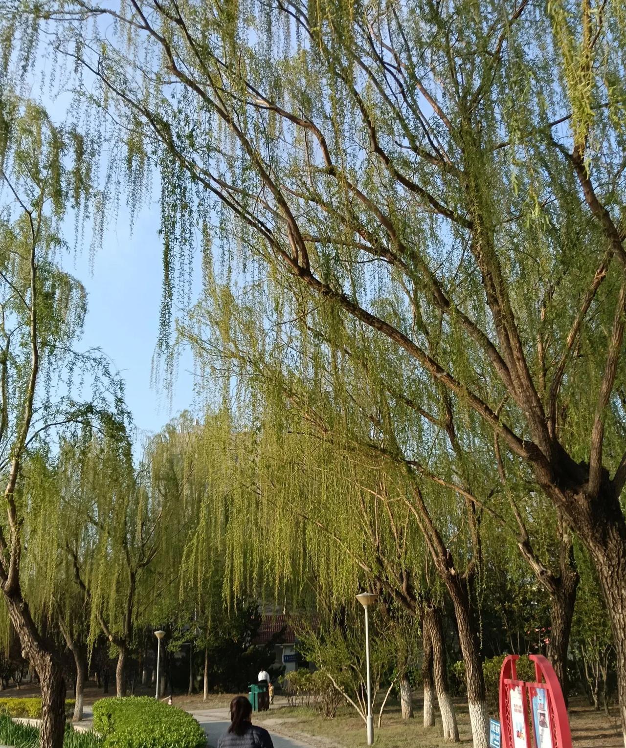 有些路，只能一个人走
我们都曾以为，陪伴是最长情的告白。可后来才明白，有些路，注