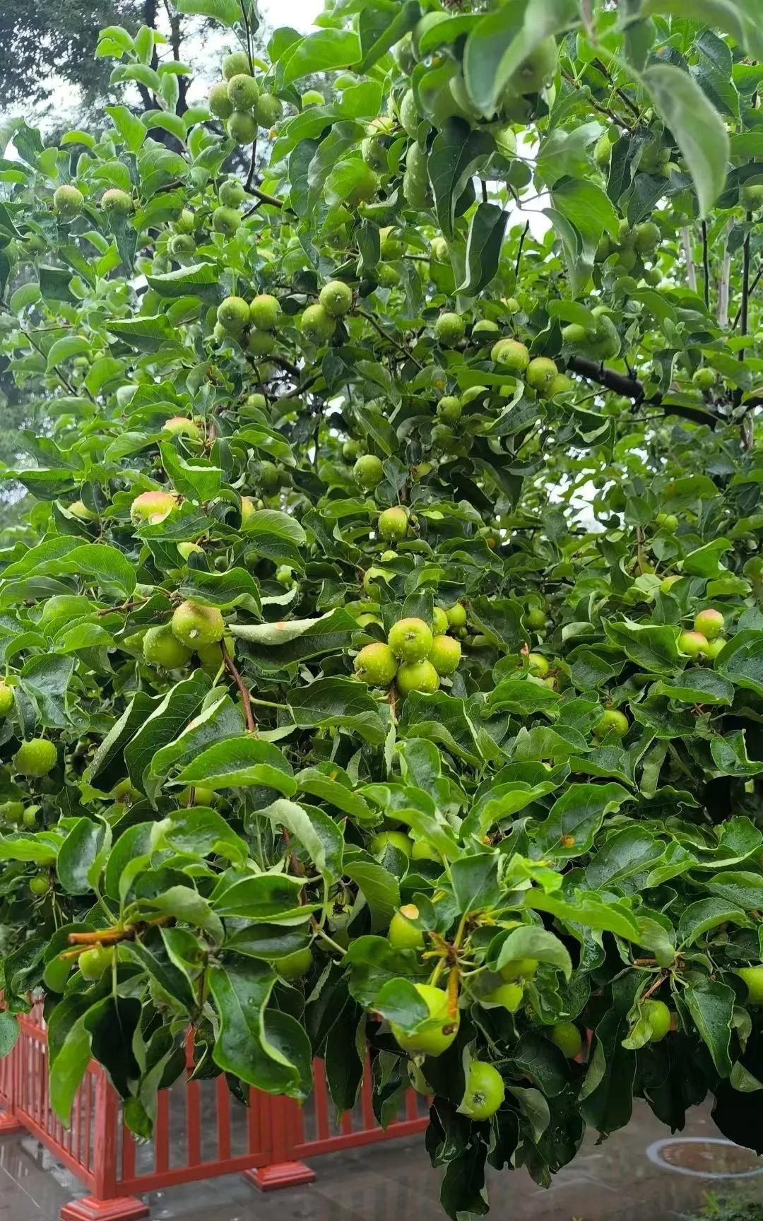 满分作文——《我最想感谢的人》
     父亲的手掌总是带着一股淡淡的机油味，那