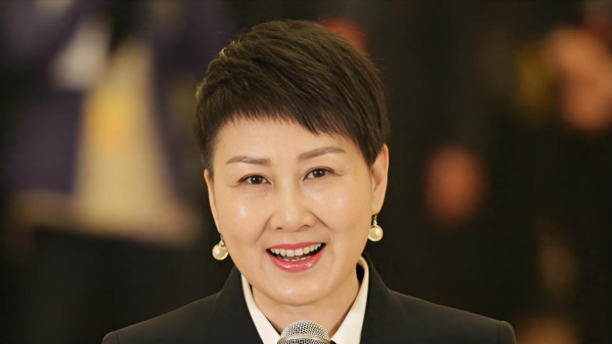 张凯丽：28岁火遍大江南北，因为一双鞋晚节不保，复出后一鸣惊
