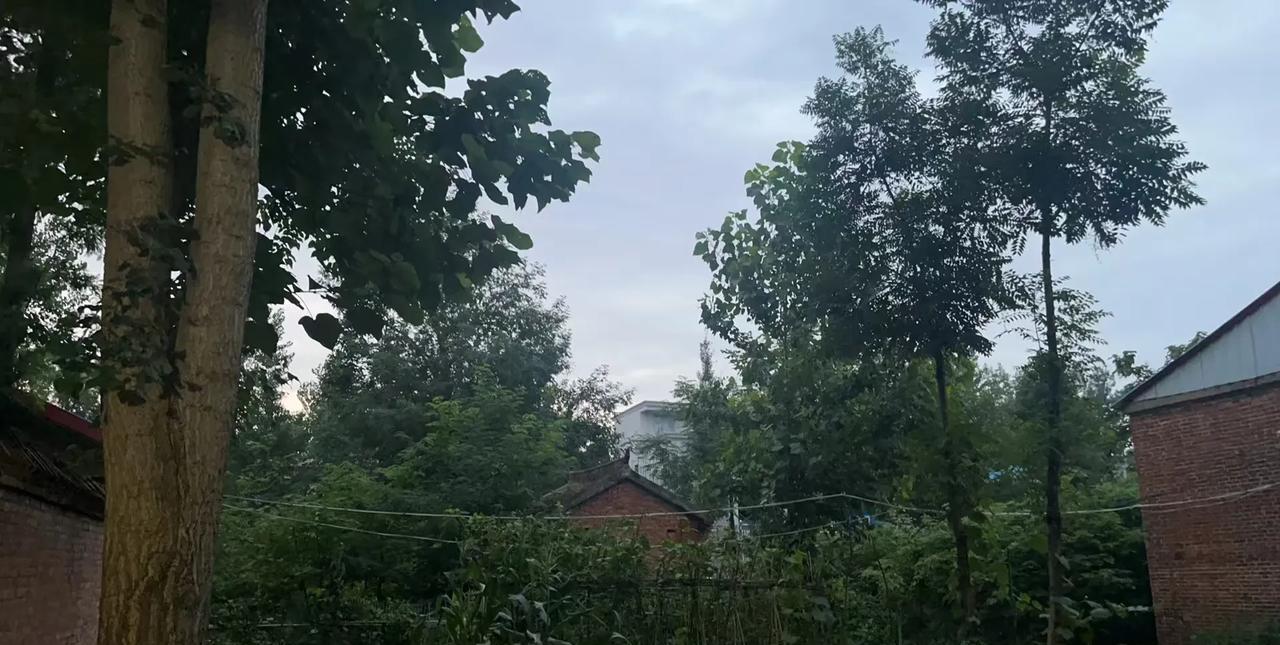 高考成绩出来了，
438分，不尽人意，
有点心痛，她哭了，我也没忍住，
不是因为