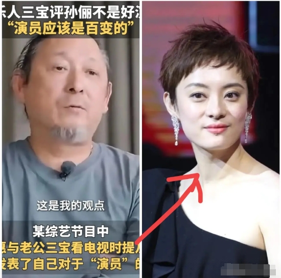 三宝毫不顾忌孙俪的颜面，在节目上说道，孙俪不是好演员，她演戏不是百变的。

没想