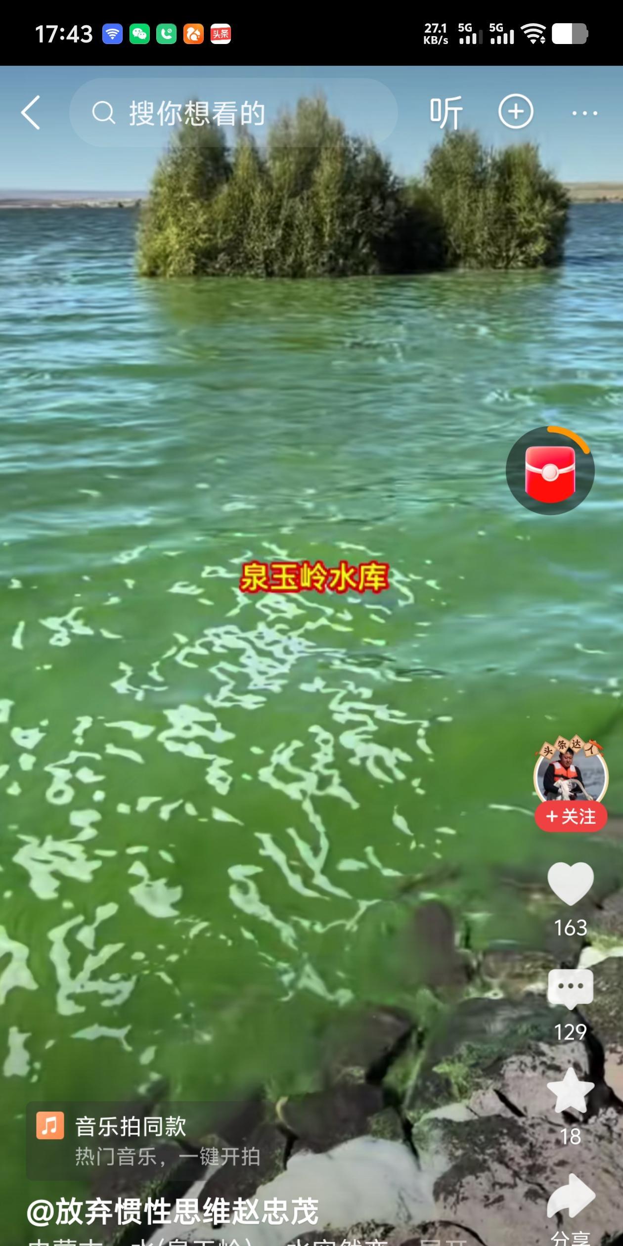 水库的水绿成这样，
怎么看着有点恐怖呢！