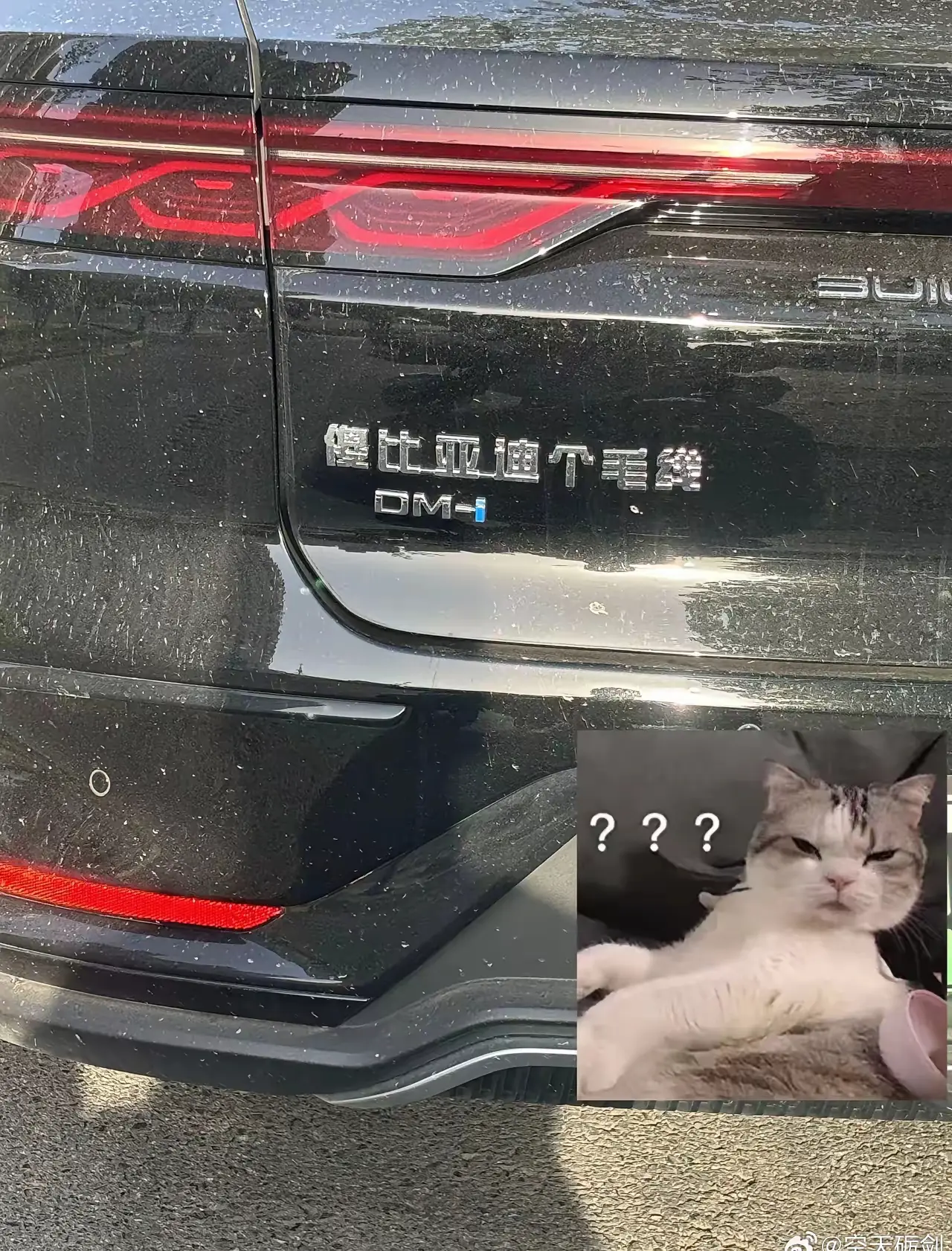 大家觉得这是不是最具攻击性的一辆车了？