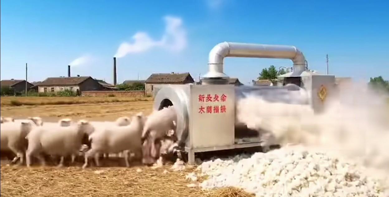 太厉害了，这是什么高科技设备啊？关键是羊去哪里了？[捂脸][捂脸][捂脸][捂脸