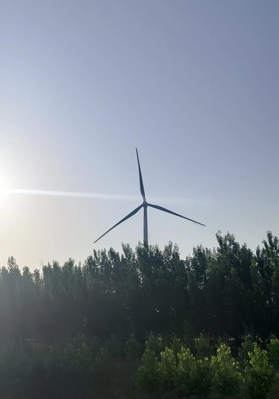 热懵了
热炸了
实在受不了
真想一脚把太阳踢到河南去
河南的朋友可不要挑理哦
冬