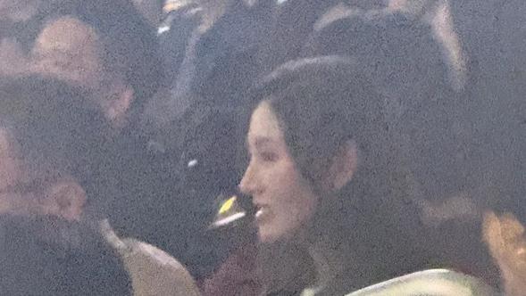 许晋亨李嘉欣现谢霆锋演唱会，与友人聊天很惬意，Michele怼脸拍好美