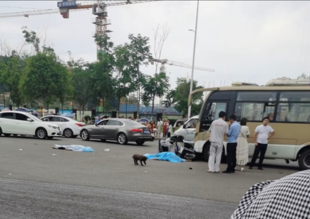 5月27日重庆一小学门口斑马线上发生车祸，事故导致2人当场死亡。事发在早上7时许