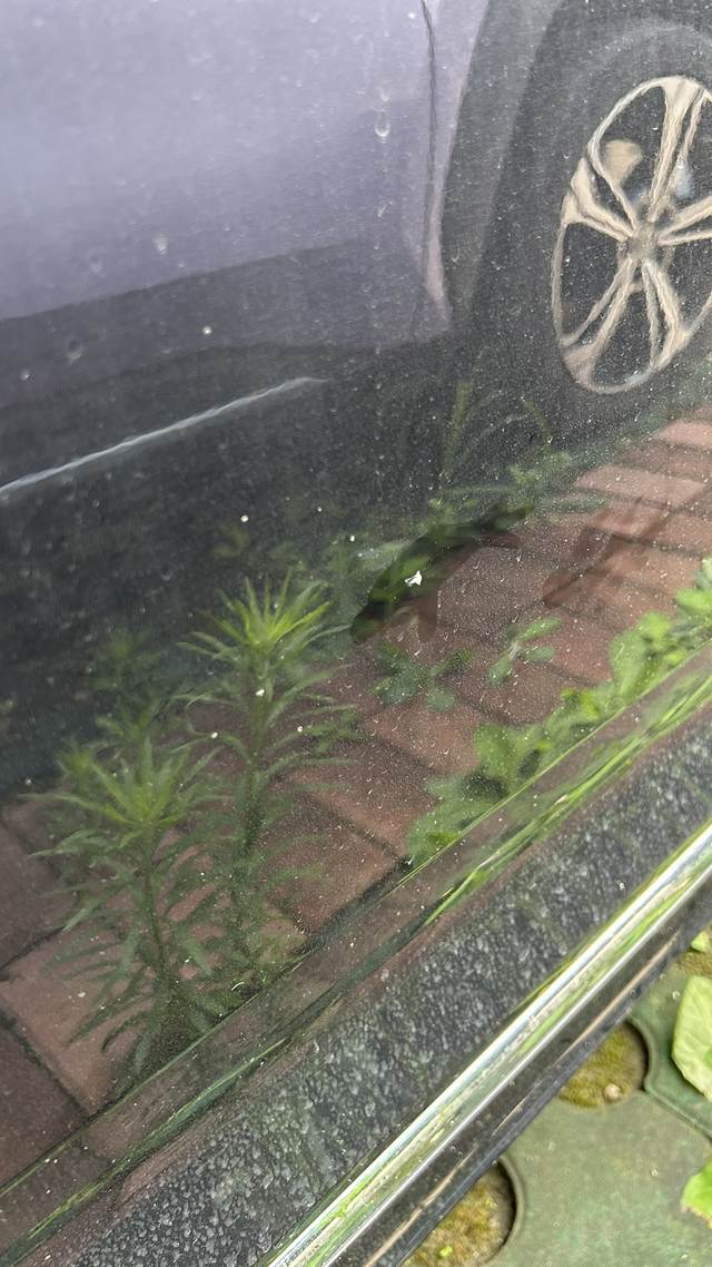 被开门杀了只能认了
车停在单位没监控，被磕了，没办法，这种没有办法找，也不好推理