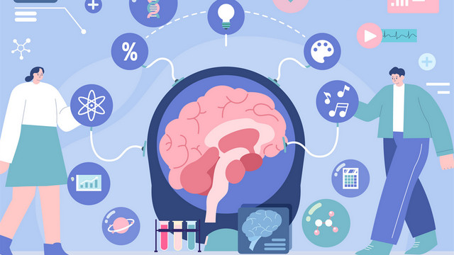 金芒果国际教育|【家长必读】青少年大脑发育与学习之间的深层联系