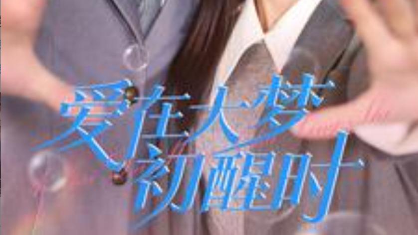 短剧在线观看《爱在大梦初醒时》完整版全集（100集）