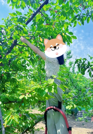老家大姨家的表妹，35岁也还单着，在小县城领着2000多的工资。家里普通，还有个