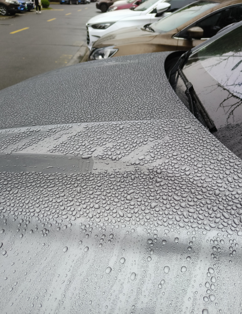 大家有没有觉得比亚迪的车漆的光洁度差

我的车经常小雨之后是这样的，而同一停车场
