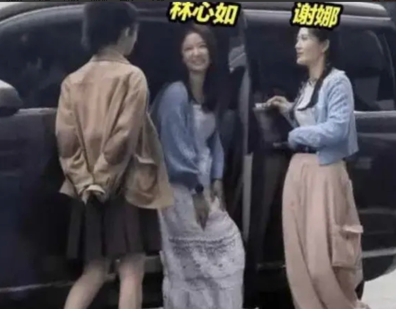 林心如霍建华恩爱如初，综艺同框展幸福！杨紫谢娜齐加盟，欢笑不断乐融融。林心如长裙