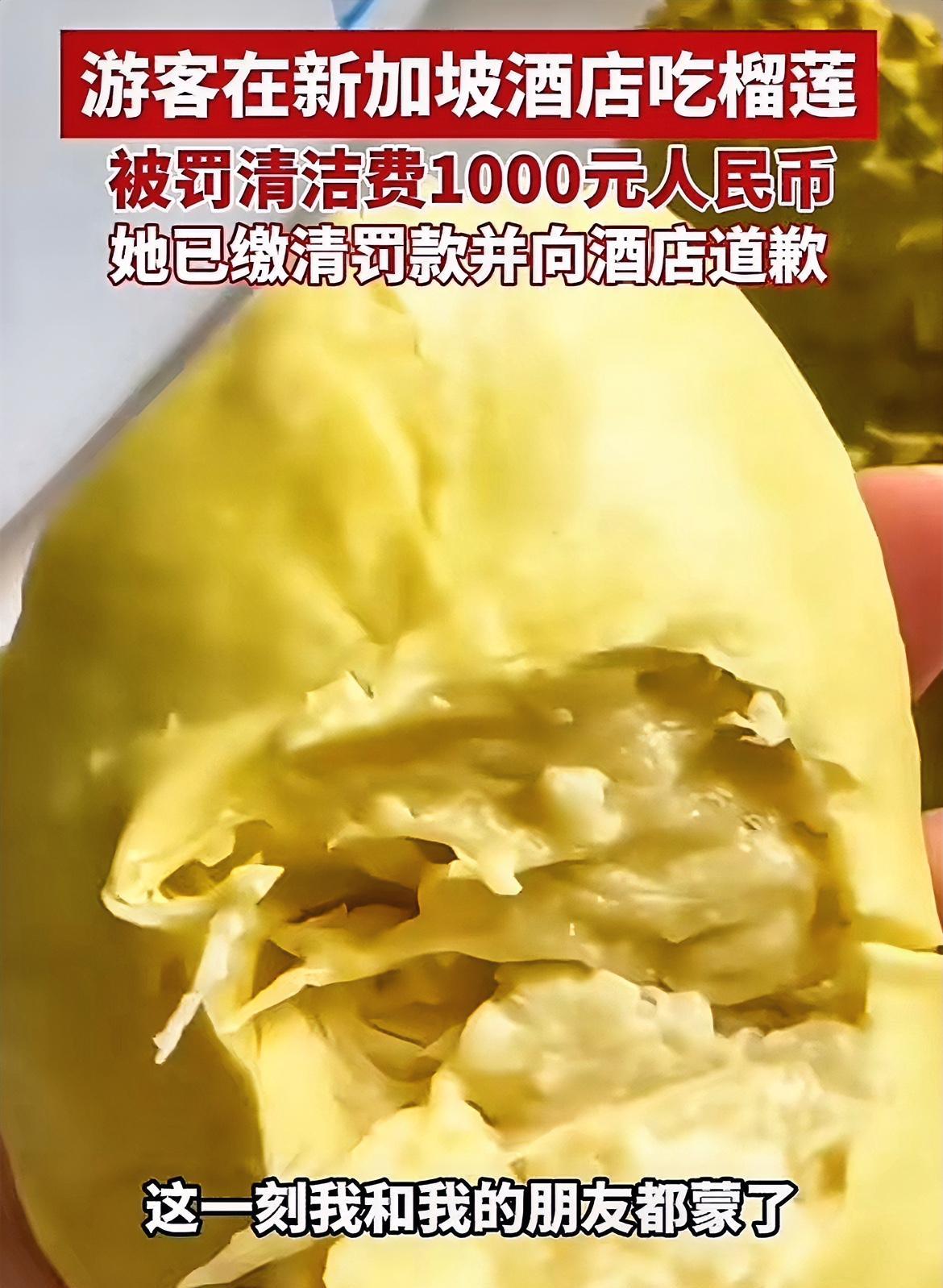 这个酒店太小题大做了吧！
小姐姐到新加坡旅游，因为在酒店房间吃了榴莲，被罚款10