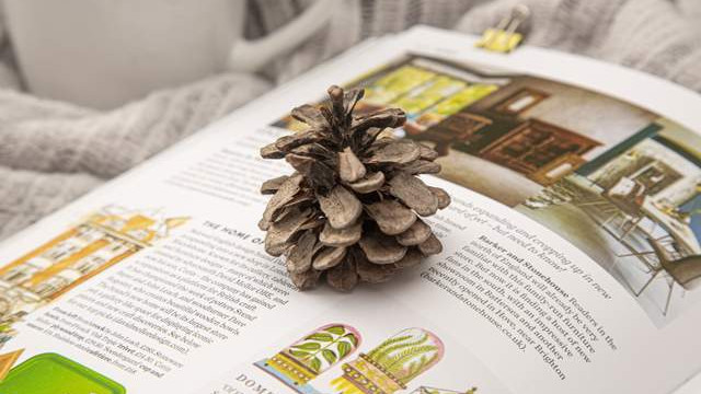 2025 公众号排版编辑器实测评分：96编辑器综合第一好用不踩雷