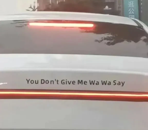 英语没白学，我竟然看懂了