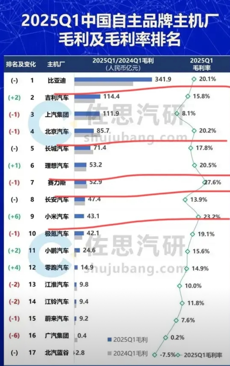 比亚迪：“不好意思，又让大家失望了！俺毛利金额还是第一！暂时怕是倒闭不了啦！下季