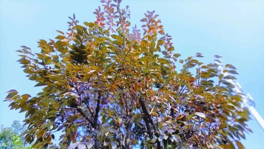 随笔：已经很好了（四章）