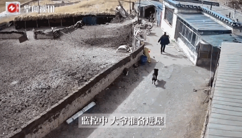 “电视剧都不敢这么演！”据新闻6月15日报道，西藏，一位大爷回家的途中，突然被一