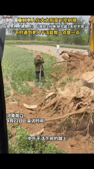 “泪目了！”河南周口，一老人在自家麦田里挖树根，正巧一开挖掘机的女子下班路过，女