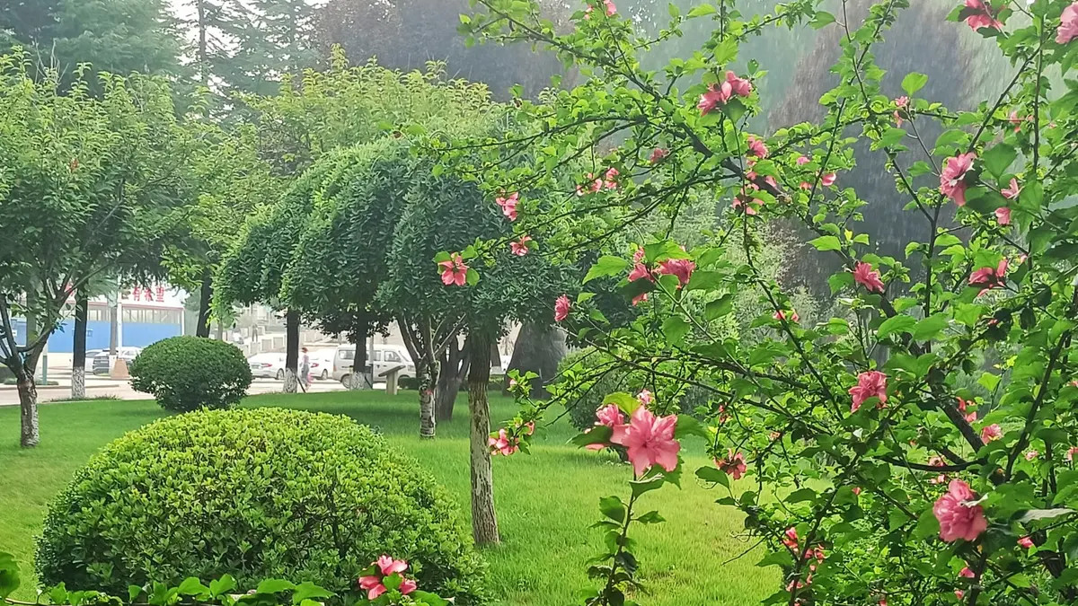 成长需要坚持，更需要钝感力