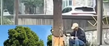 上海浦东上南山水苑一期发生了一起荒唐事件：一位80岁老人带头，20多位平均年龄7