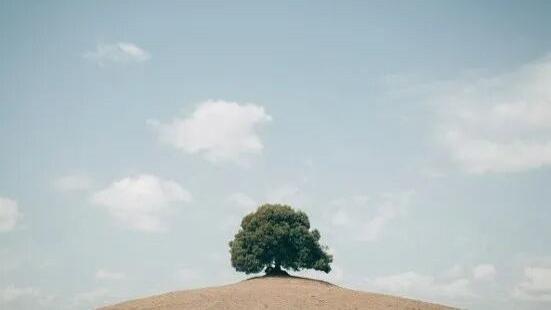 “给相亲对象发的红包，还想要回来？”