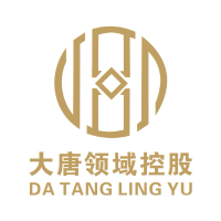 大唐领域控股