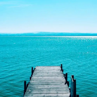 何嘉诚致说车吖