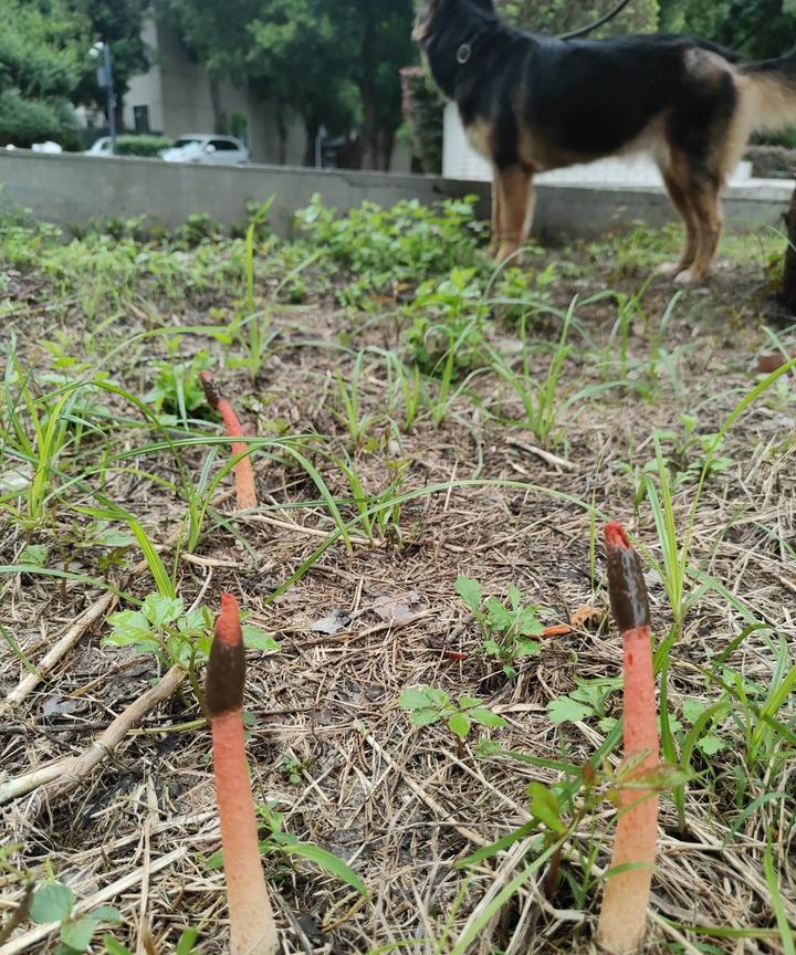 有一个精虫上脑的事
有一次出差，是各个不同的单位的人，在一起交流学习。
有一个年