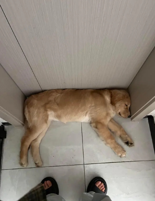 这空间是专为你设计的吧，严丝合缝