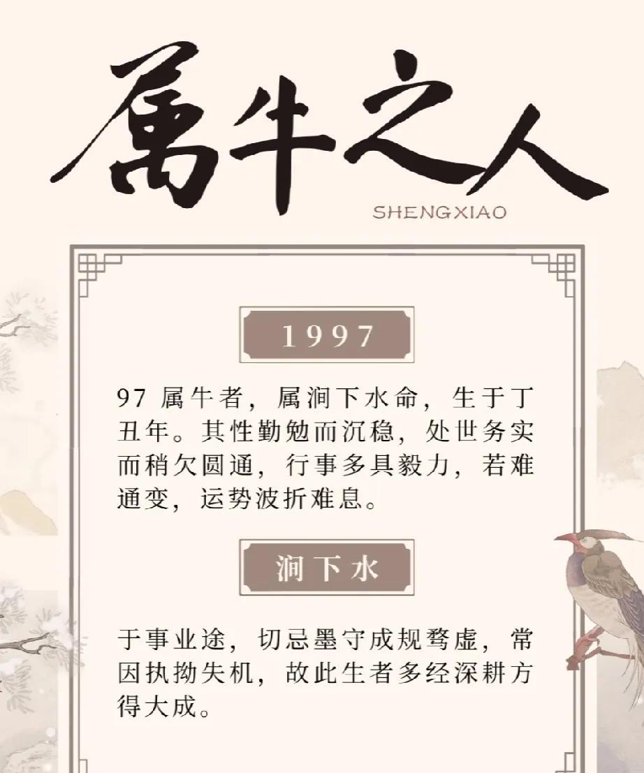 对于属牛之人出生于1997年的个体而言，他们属于涧下水命，丁丑年出生。他们性格勤