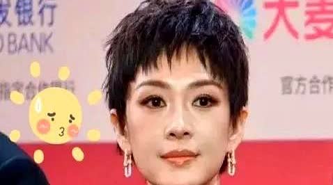 章子怡这一夜翻来翻去睡不着！

她实在不理解，汪峰都53岁的老男孩了，居然还