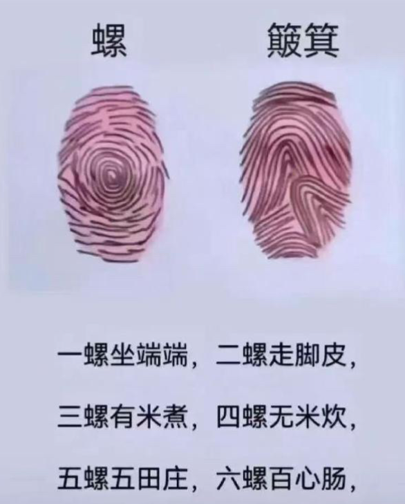 半百之后，回望指纹螺童谣里的儿时 “命运”