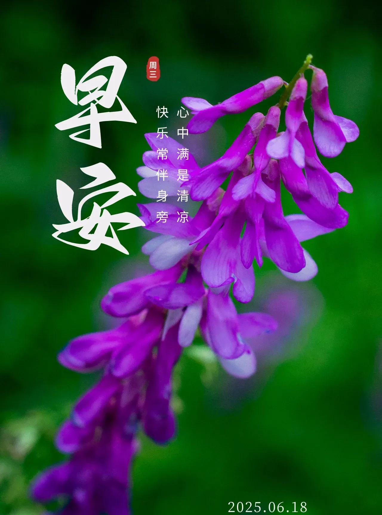 人生如歌，历经风雨，见证彩虹。岁月沉淀了豁达，让我们懂得了珍惜。每一段经历都是宝
